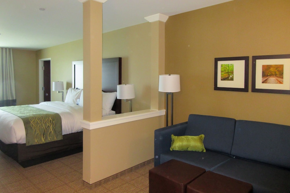 Comfort Inn & Suites - Harrisburg Airport - Hershey South 14/48