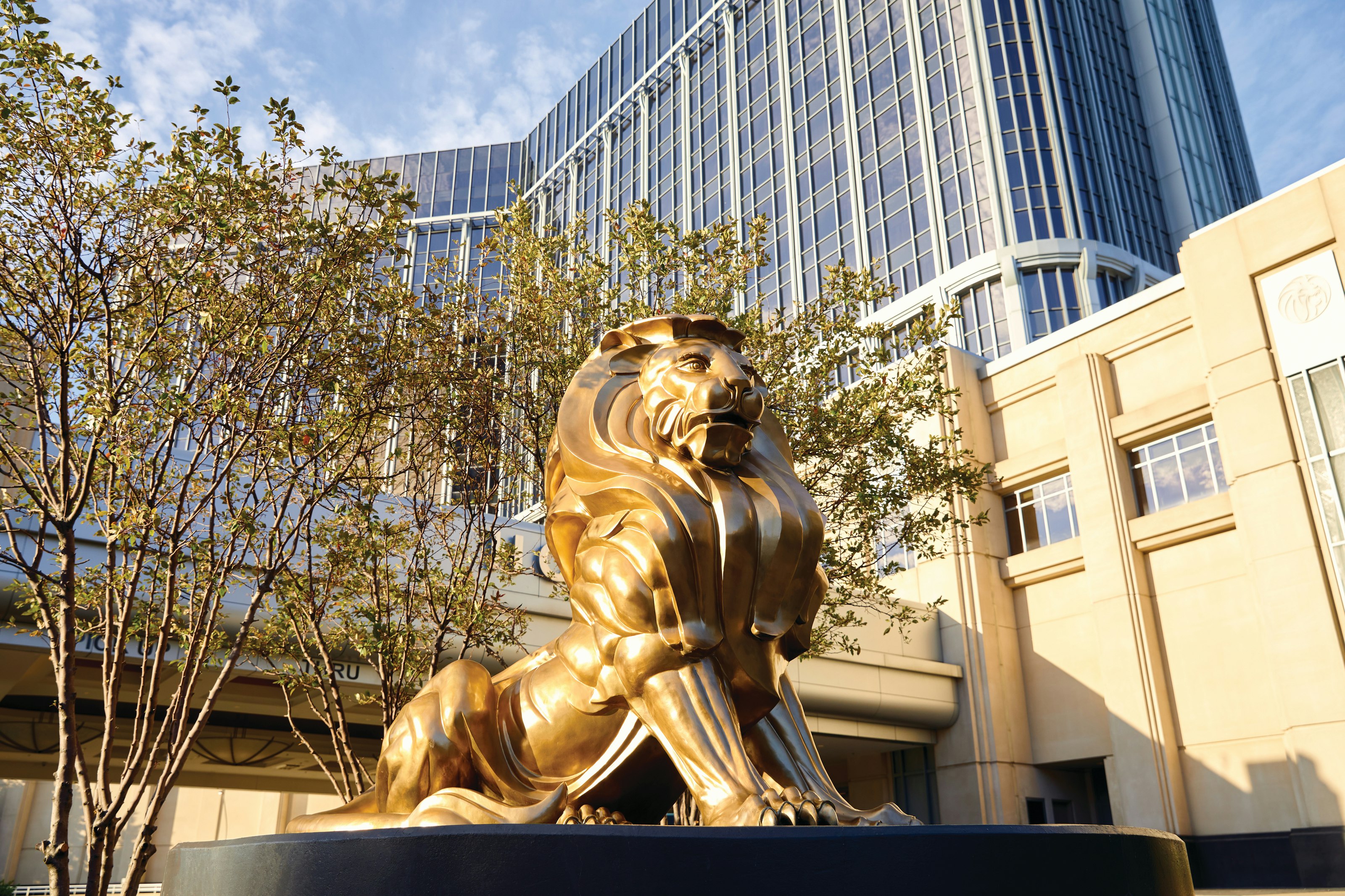 MGM Grand Detroit 28/55
