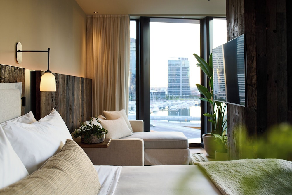City, Suite, King Bed