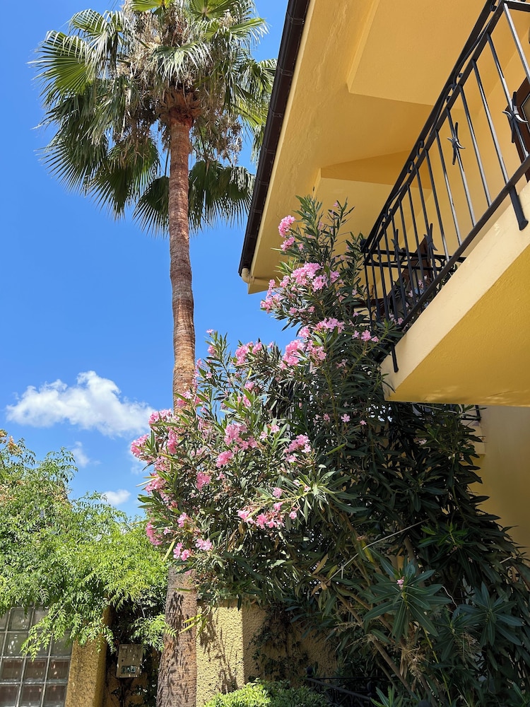 Villa Danlin Hotel 30/44