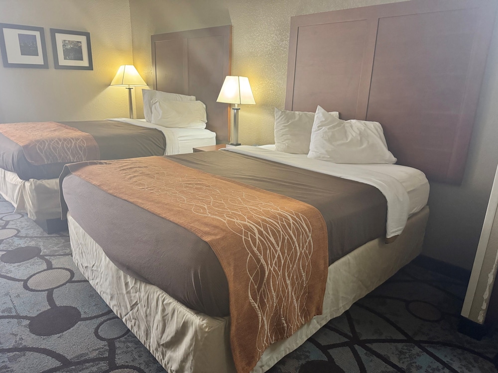 Studio, Suite, 2 Queen Beds