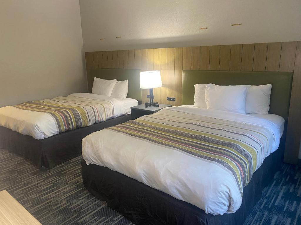 SUITE, 2 KING BEDS
