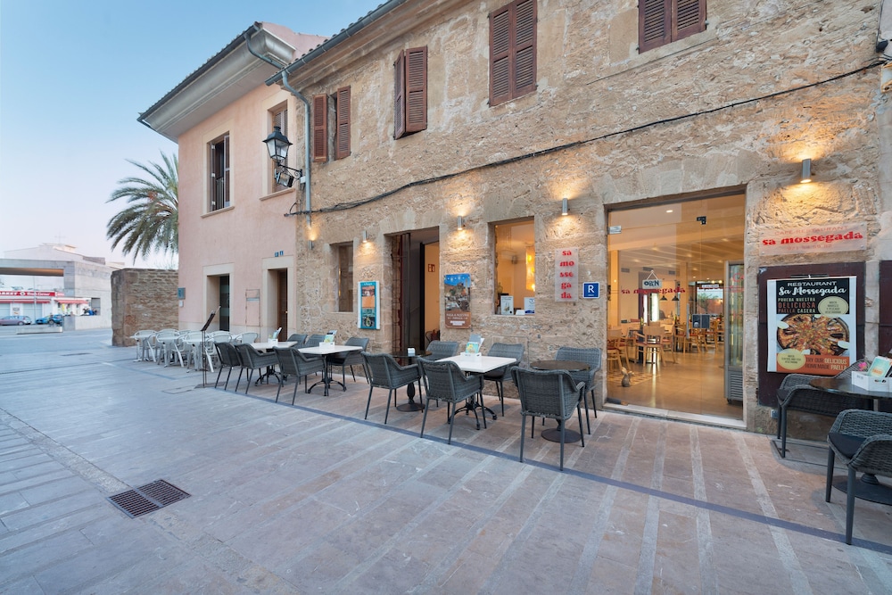 Alcudia Petit 35/50