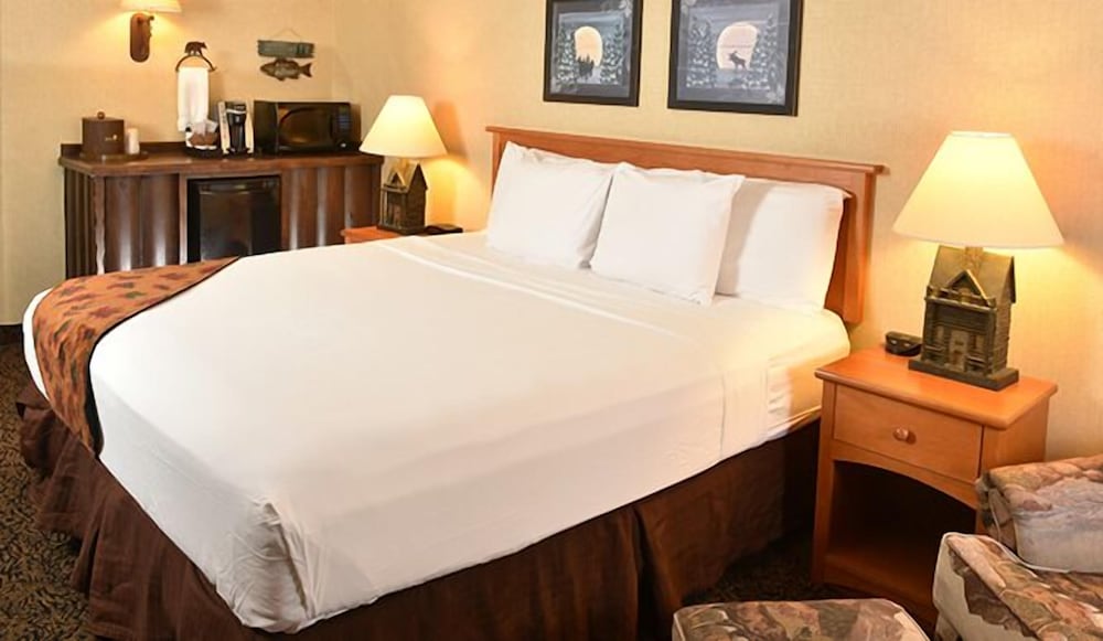 Boarders Inn & Suites by Cobblestone Hotels - Waukon 14/25