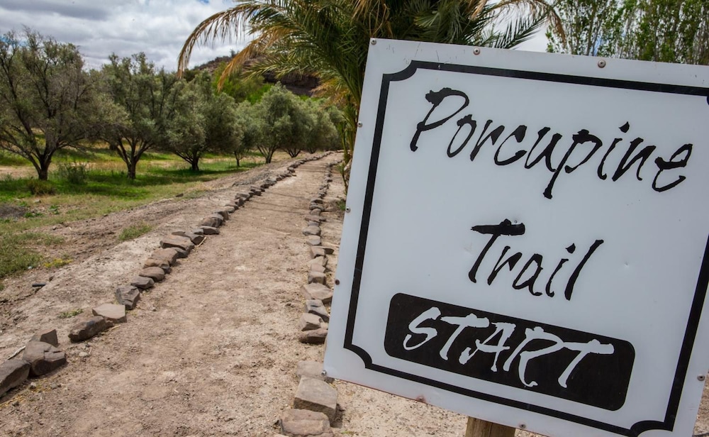 Olive Grove Guest Farm 28/50