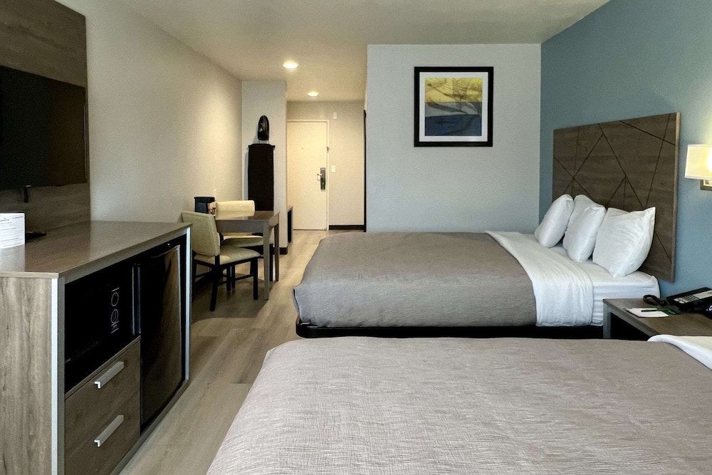 Efficiency, Suite, 2 Queen Beds, Sofa