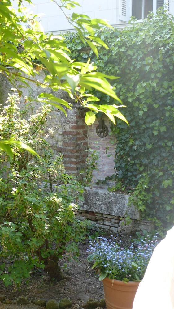La Petite Vigne 29/37