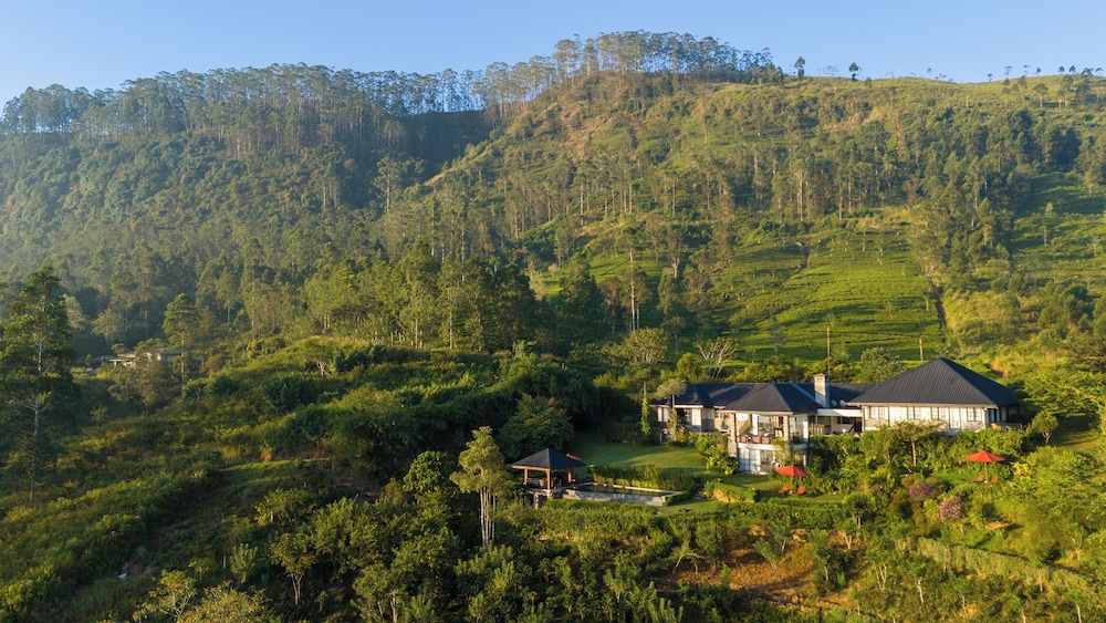 Camellia Hills 48/58