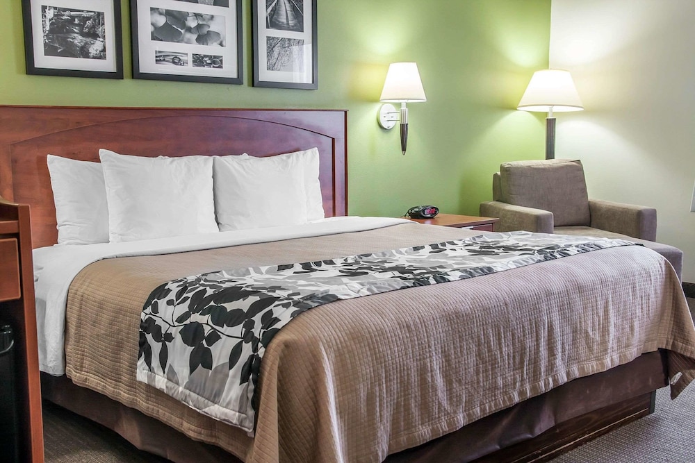 غرفة قياسية بسرير كينج، Sleep Inn and Suites Conference Center And Water Park 4/7