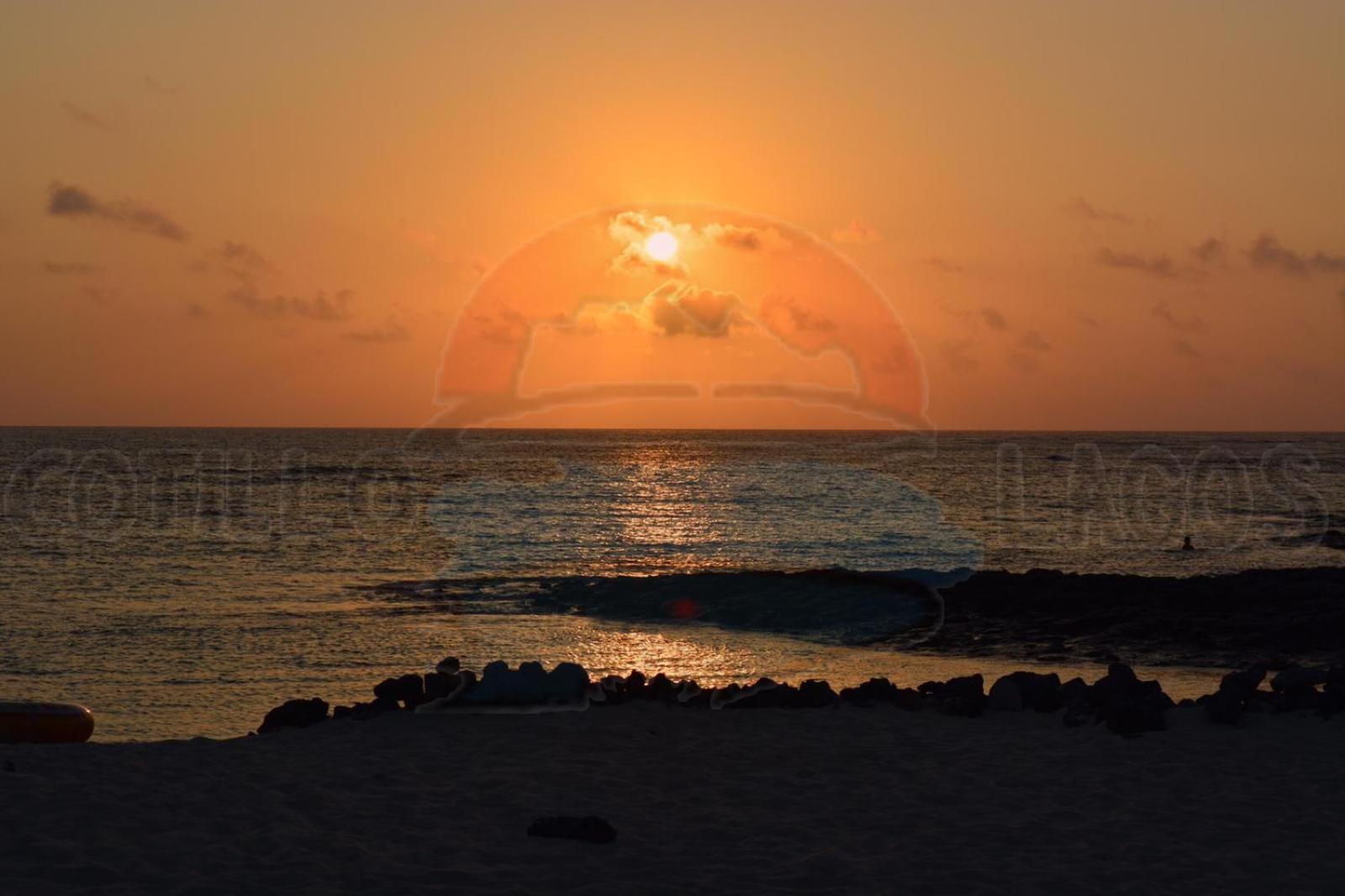 Cotillo Lagos 31/50
