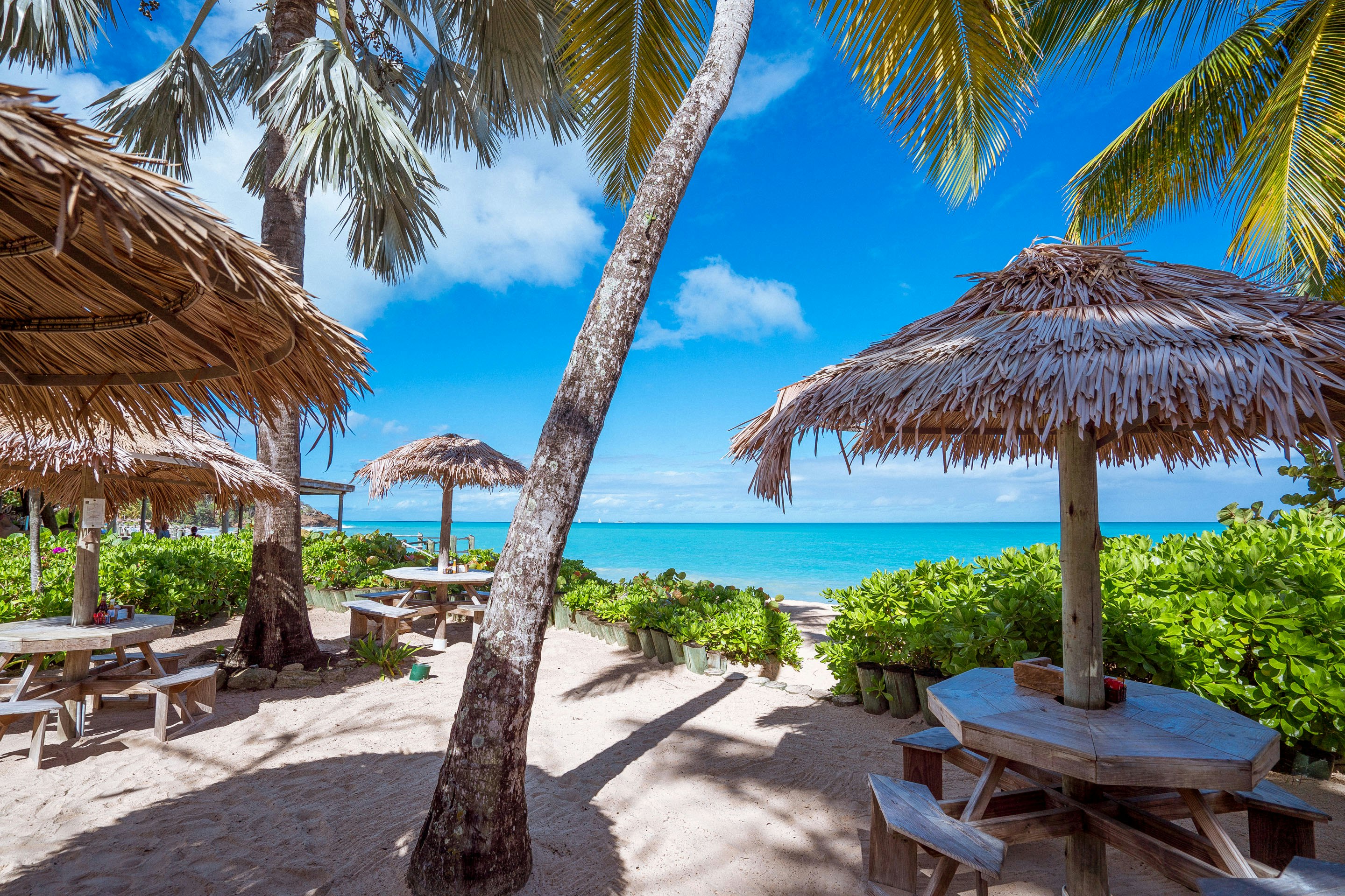 Galley Bay Resort and Spa All Inclusive Adults Only 80/83