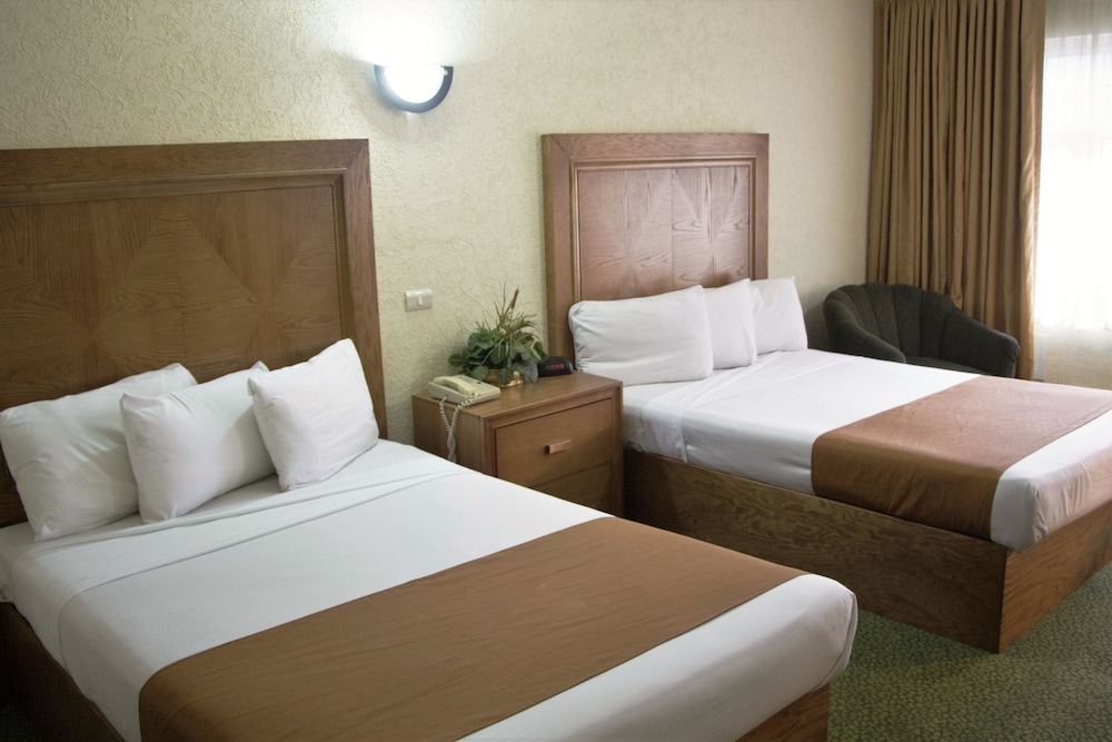 Sicomoro Hotel 18/50