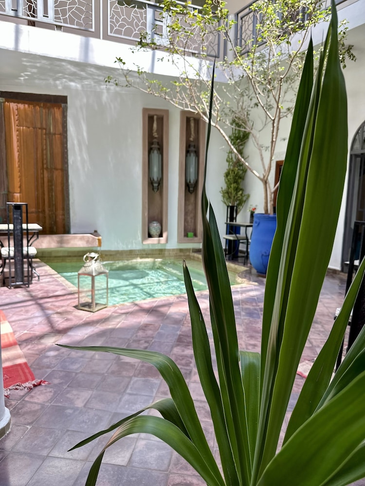 Riad Jardin Des Rêves 28/50