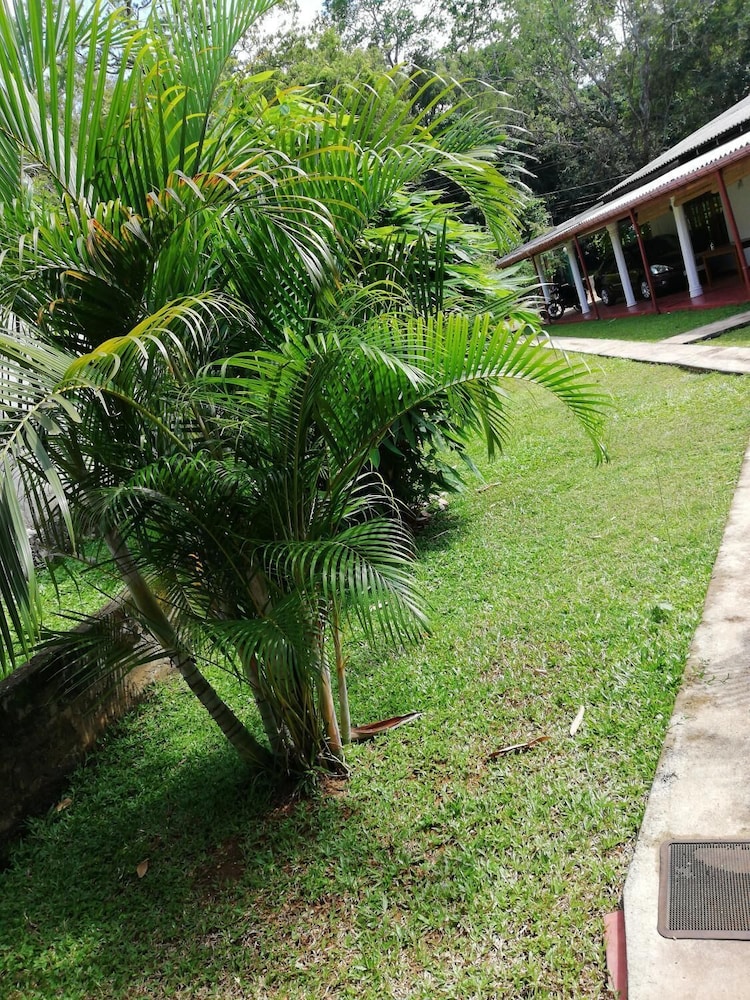 Lal Homestay 38/50