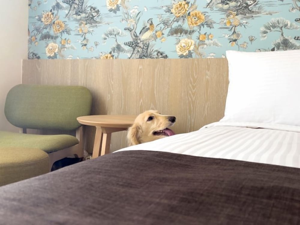 DELUXE, PET FRIENDLY