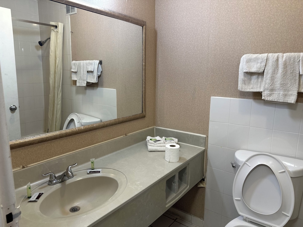 Airport Inn Flint 19/20