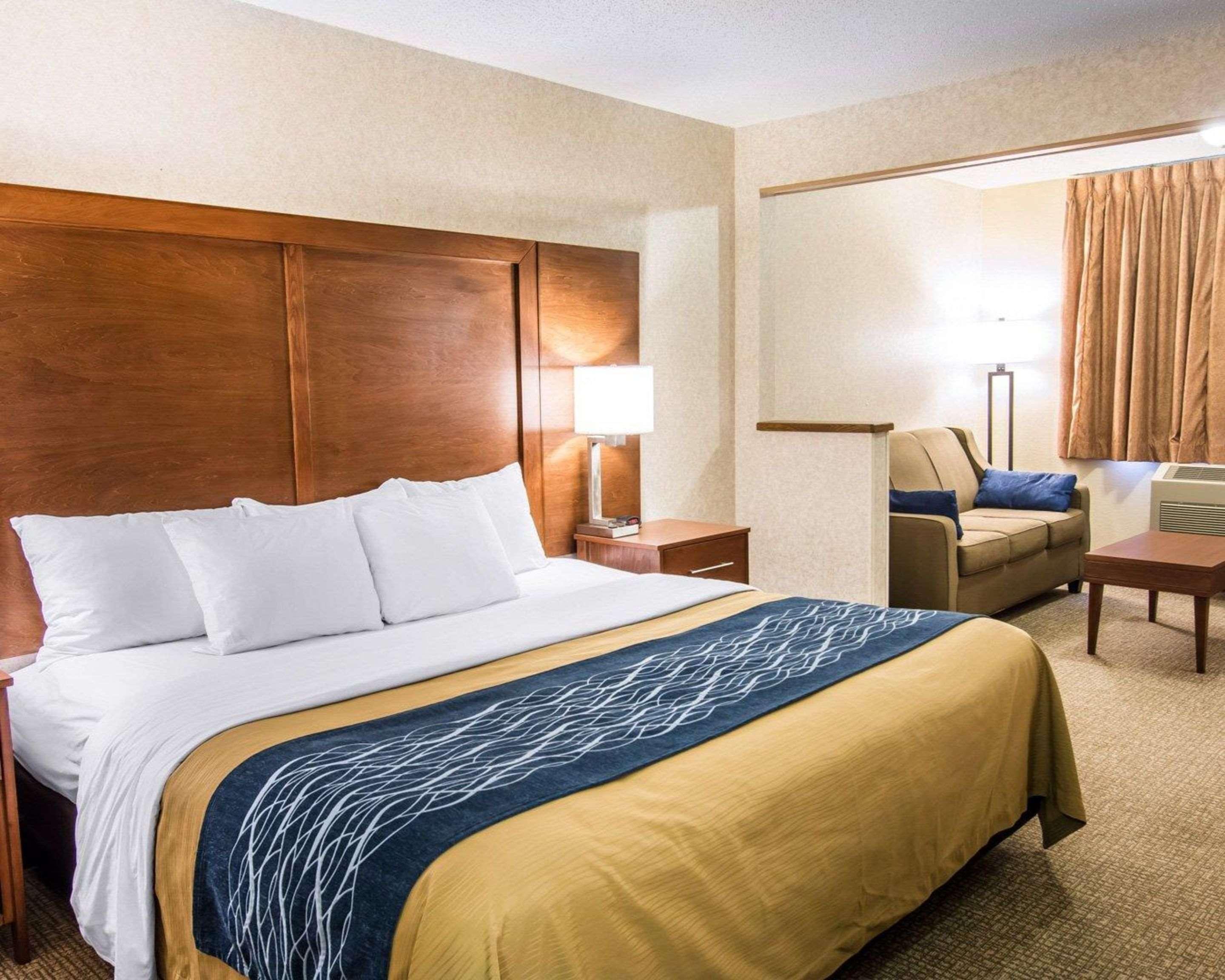 Suite, King Bed