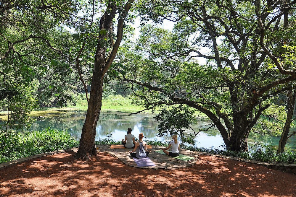 Ngare Sero Mountain Lodge 39/52