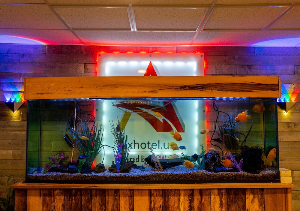 Lx Hotel A Travelodge By Wyndham 15/70