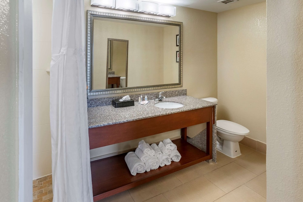 Comfort Inn and Suites Lincoln AL 61/61