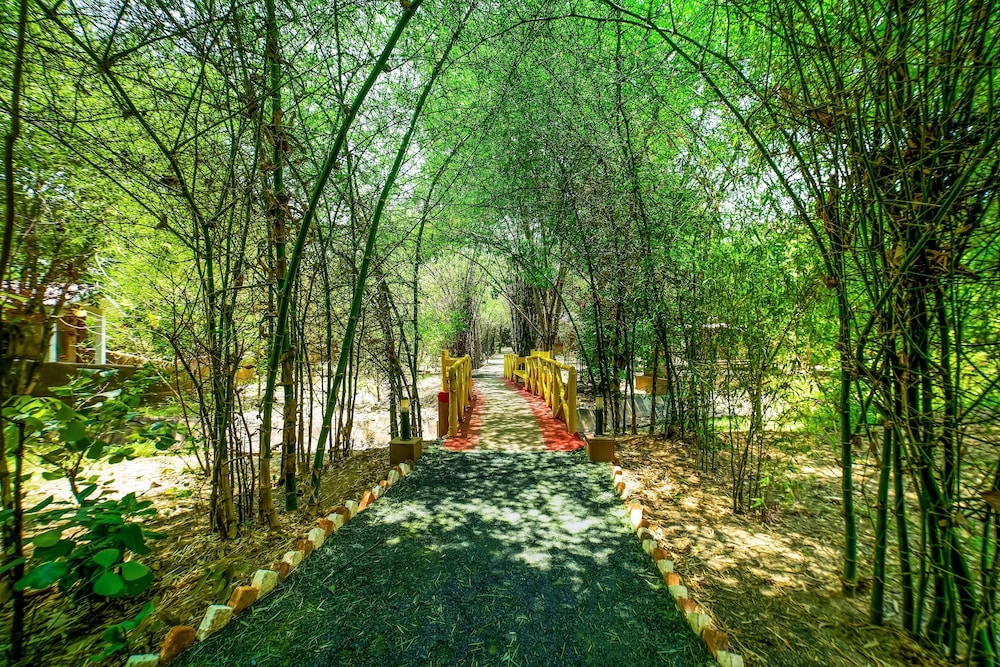 surroundings