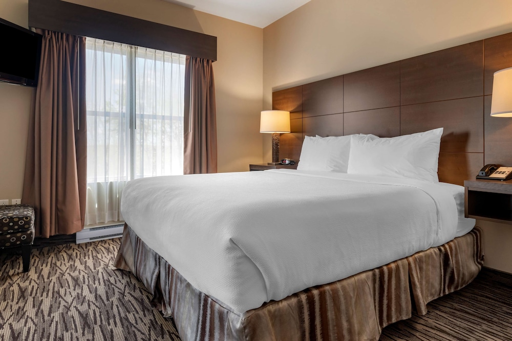 Suite, King Bed, Sofa, Living Area
