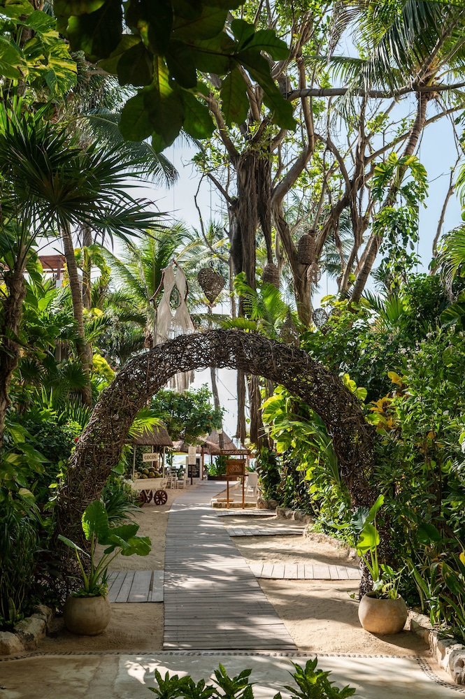 Hotel Colibri Beach 4/82