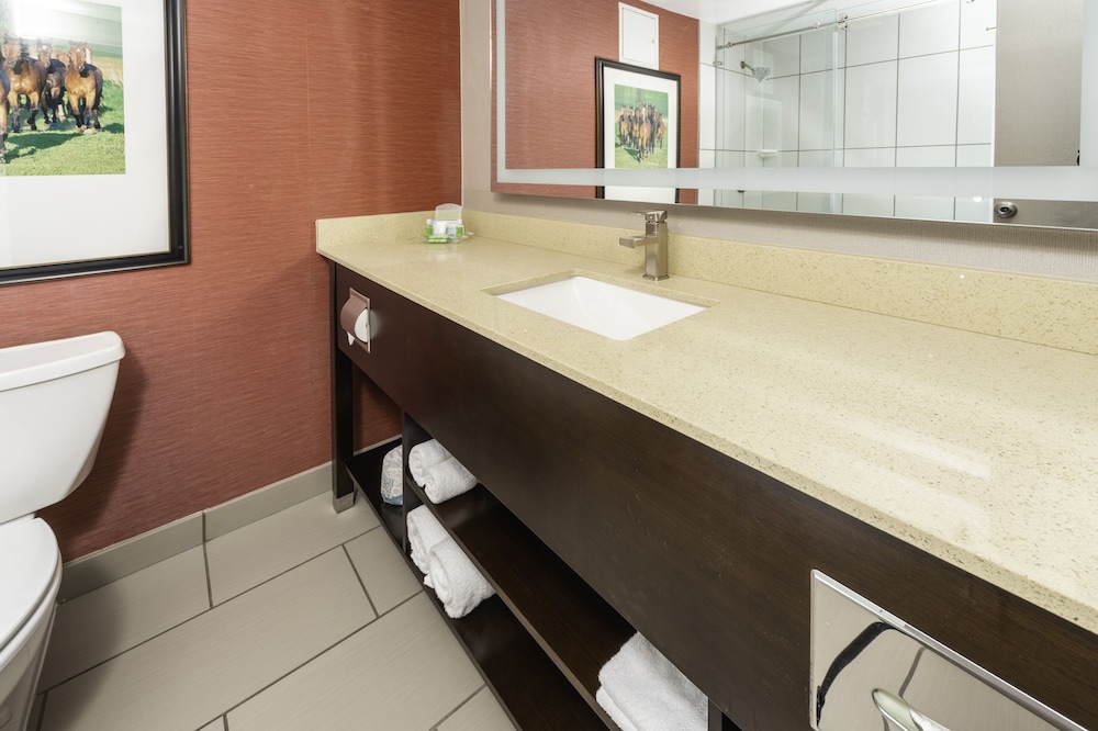 Holiday Inn Louisville East - Hurstbourne 25/78
