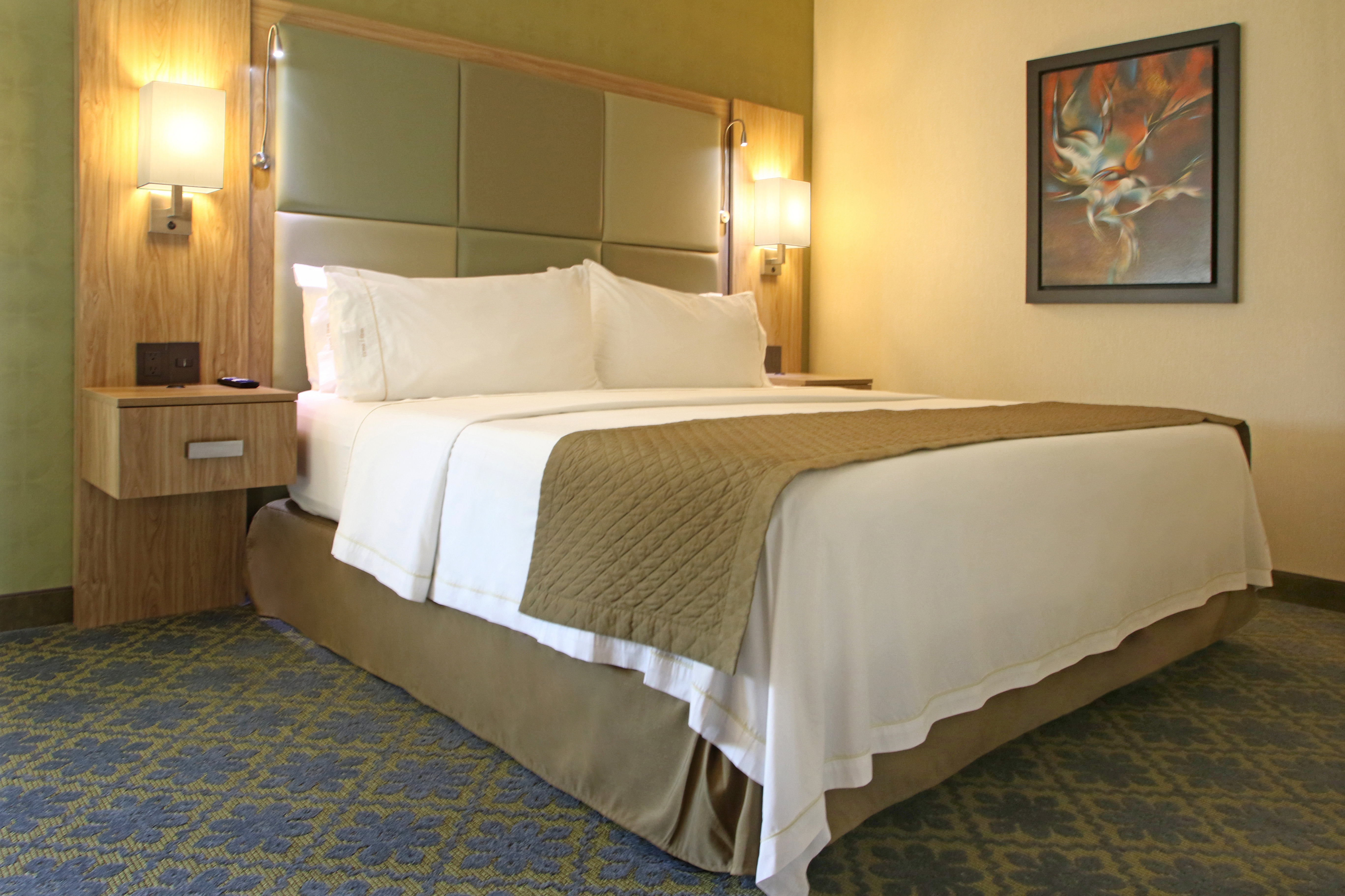 Holiday Inn Express & Suites Cuernavaca 5/50