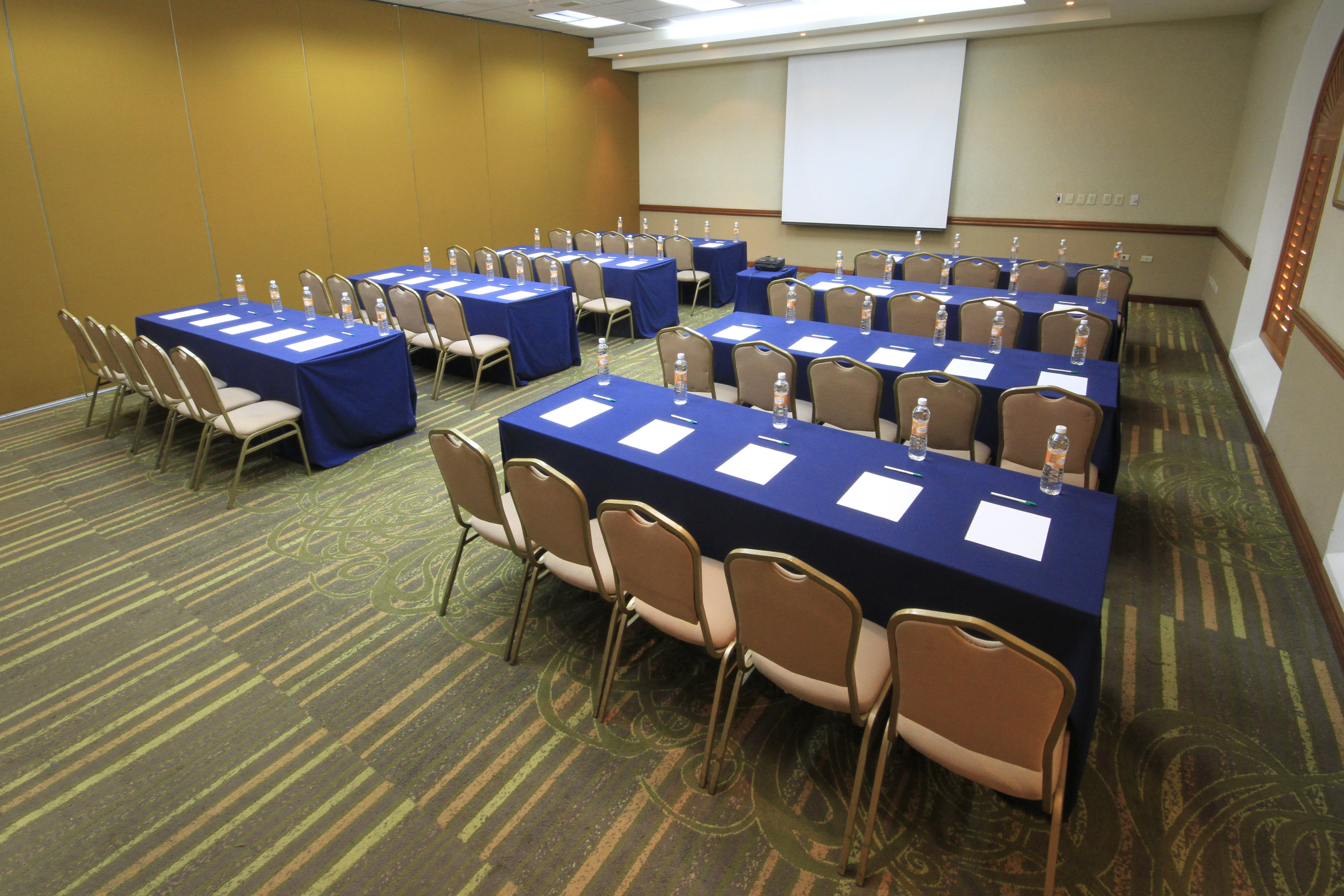 Holiday Inn Monclova 43/50