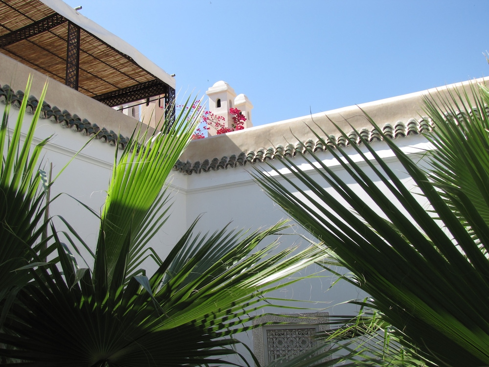 Riad Vert 4/66