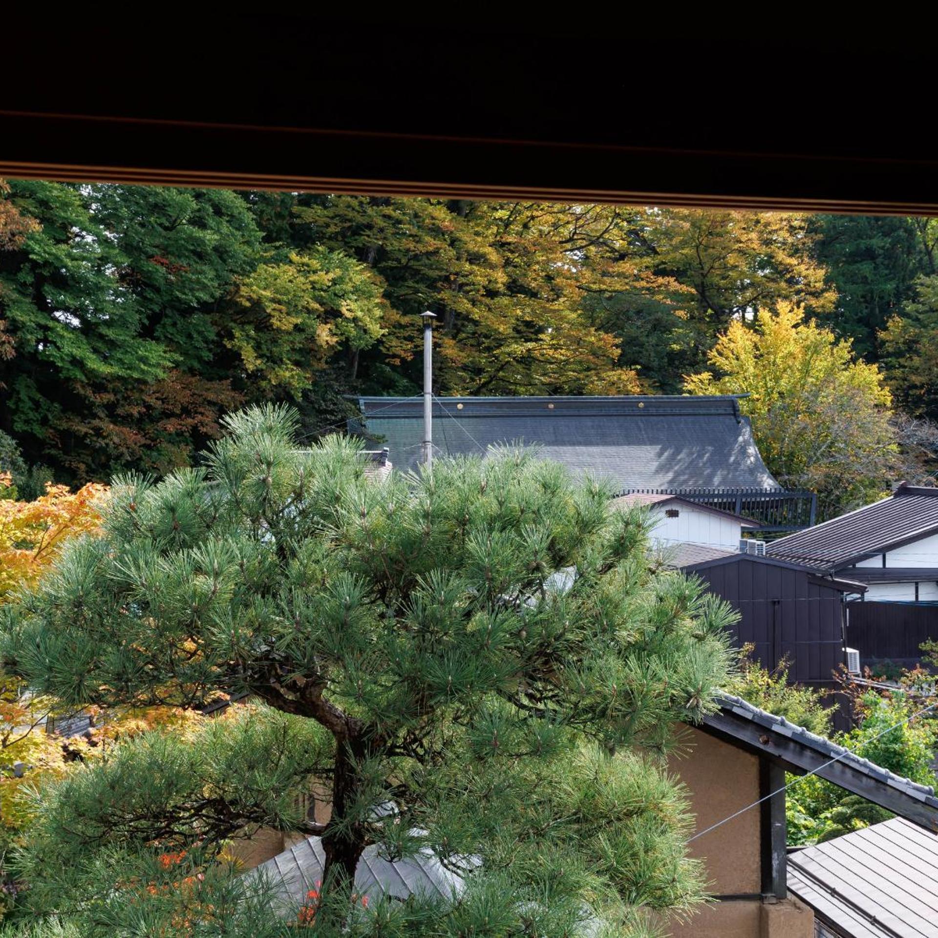Shimosuwa Onsen Chosenkaku Kameya 44/50