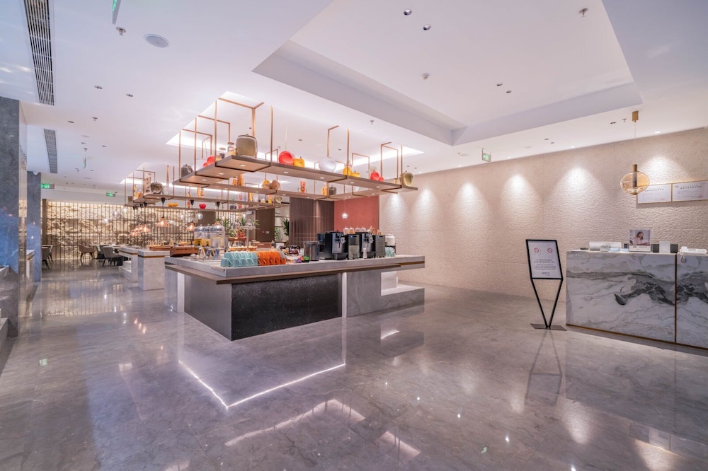 Radisson Hotel Beijing Daxing Airport 8/60