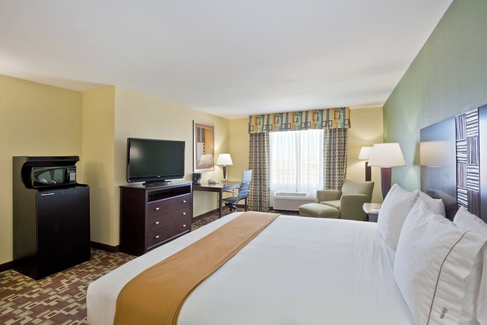 Holiday Inn Express Hotel Suites Dumas 23/72