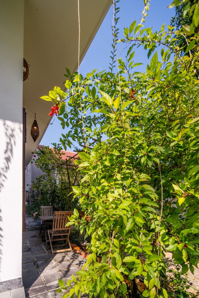 An Bang Morning Glory Beach Homestay 36/44