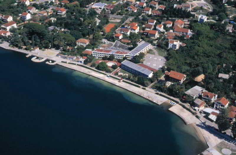 Kamelija 32/42