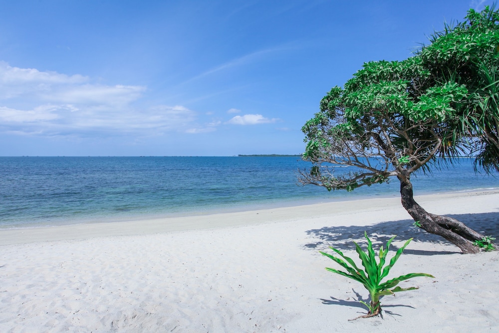 Trikora Beach Club & Resort 58/71