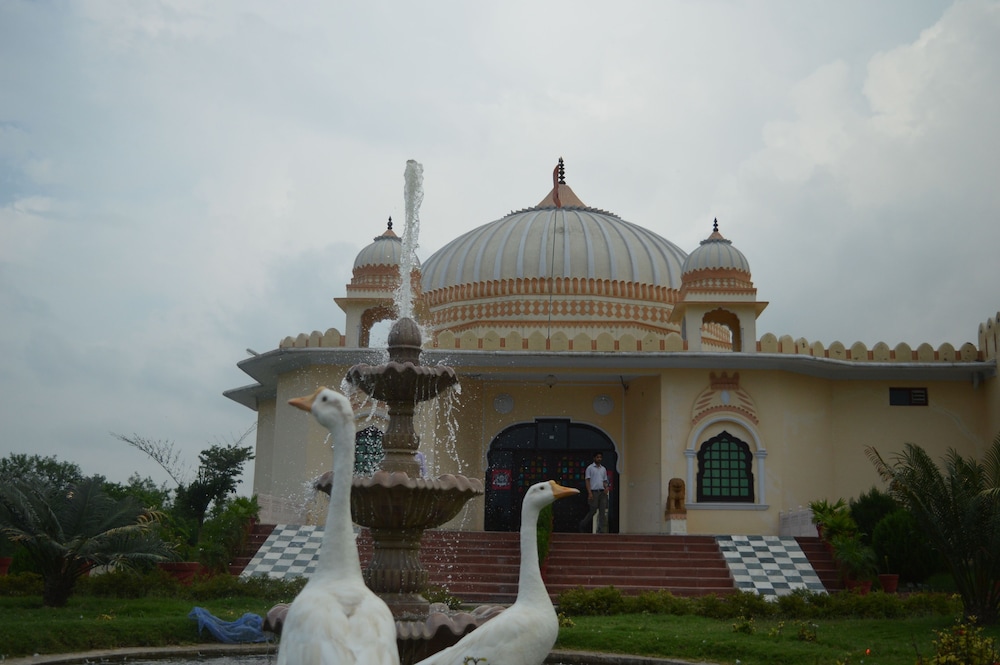 Rajmahal The Palace 4/50