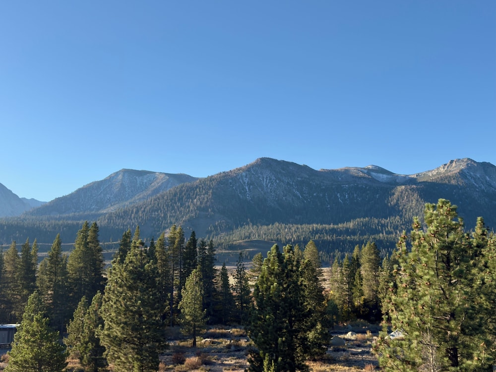 Mammoth Creek Inn 55/59