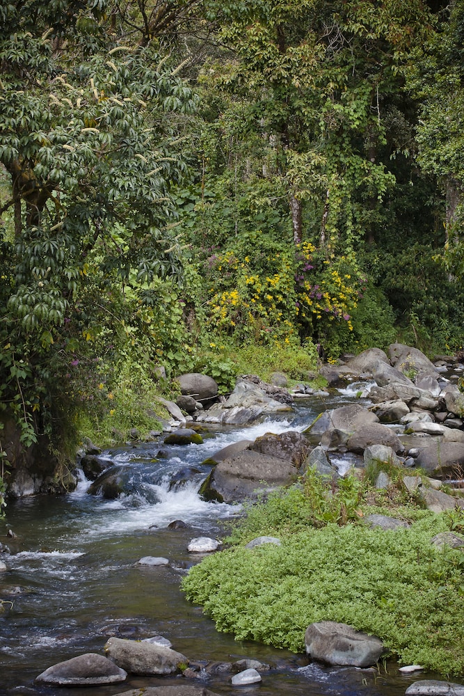 Savegre Hotel Natural Reserve And Spa 63/69