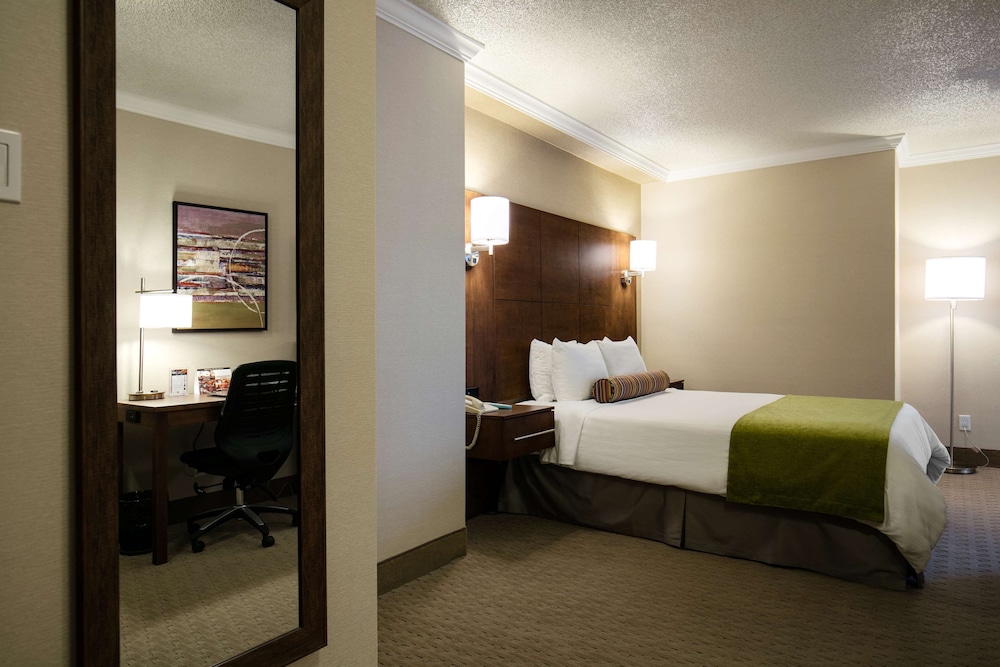 Best Western Ville Marie Montreal Hotel and Suites 18/45