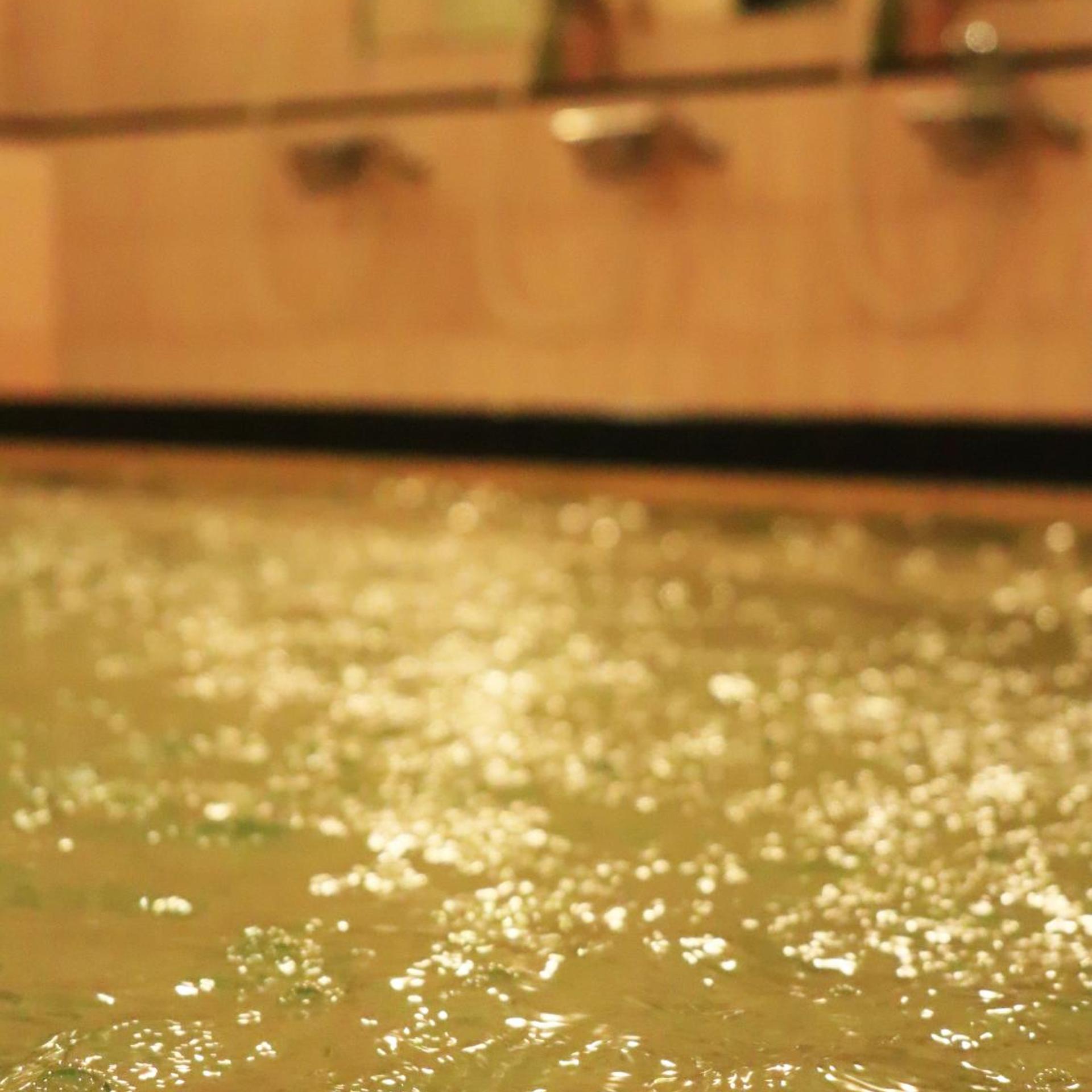 Izumiya Ryokan 42/43
