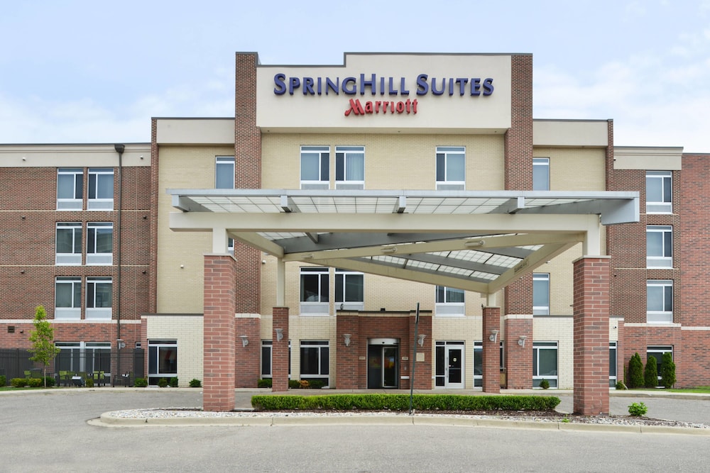SpringHill Suites by Marriott Detroit Metro Airport Romulus 3/47