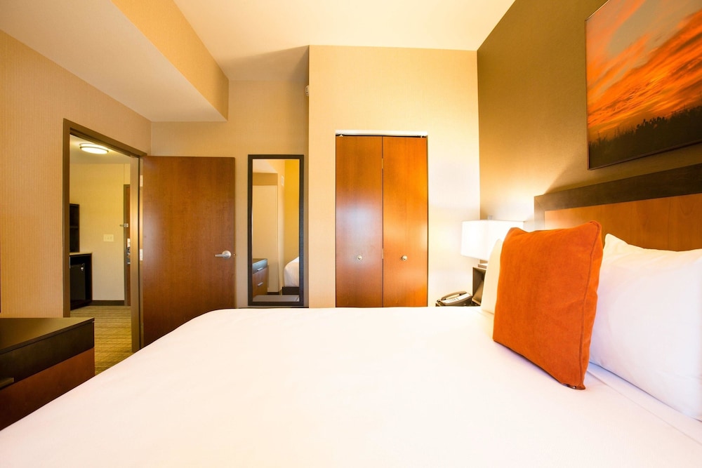 Cambria Hotels Plano Frisco 13/50