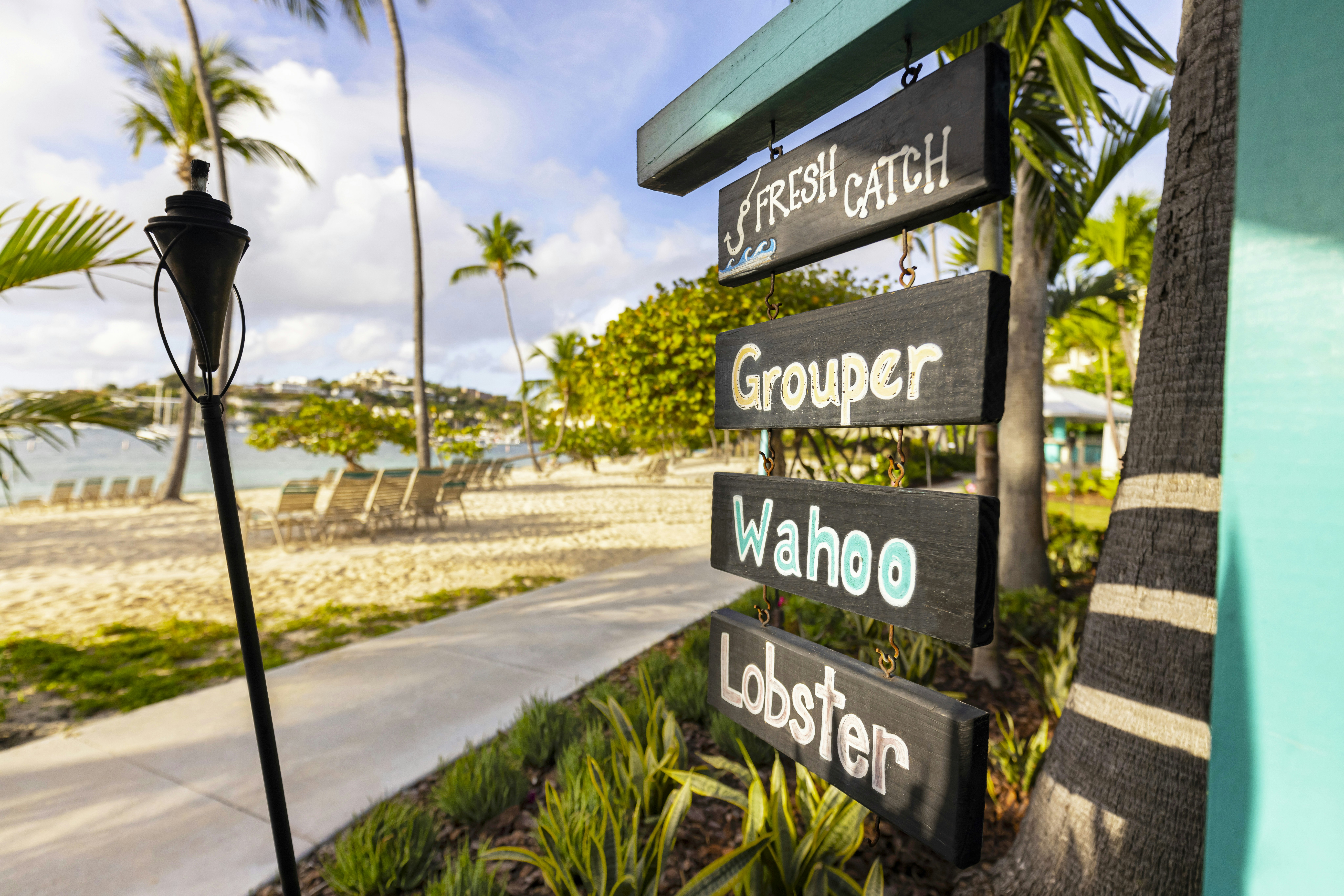 Elysian Beach Resort 51/82