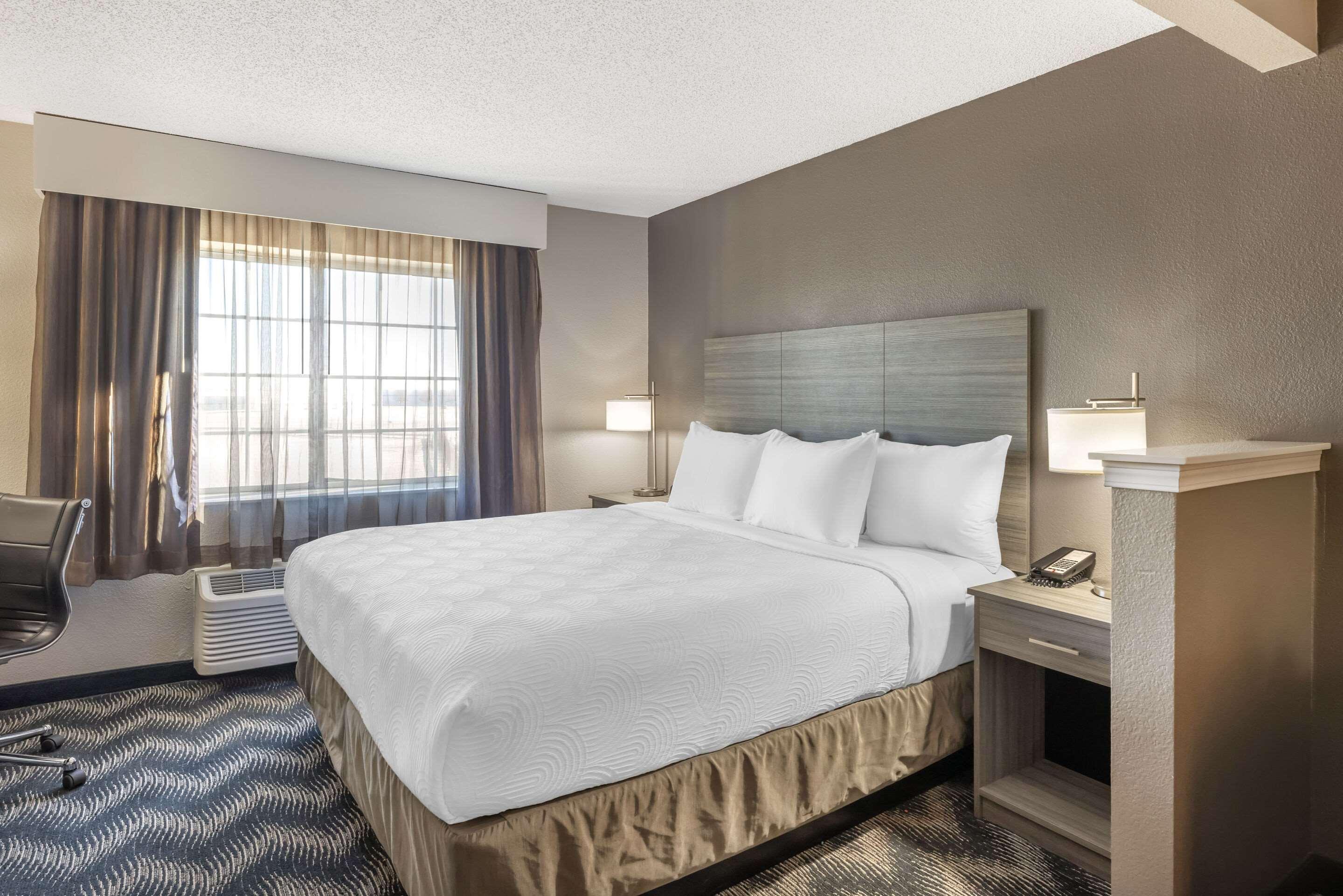 Suite, King Bed