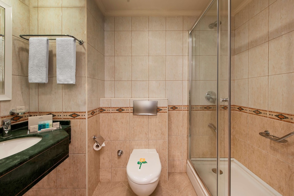 Elite World Comfy Istanbul Taksim Hotel 87/87