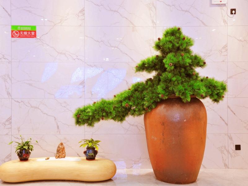 GreenTree Inn Haikou City Wuzhishan Road 18/33