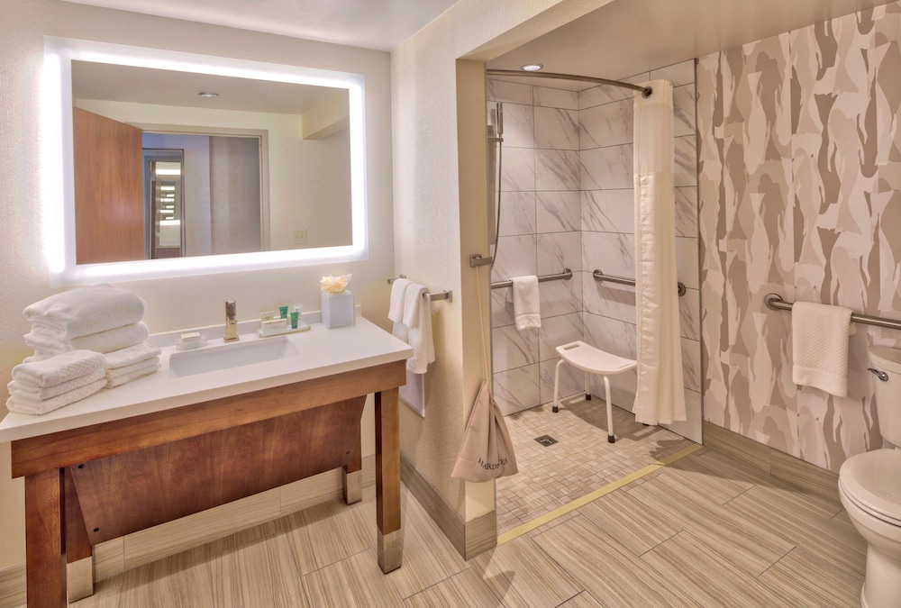 Hilton Norfolk The Main 19/80