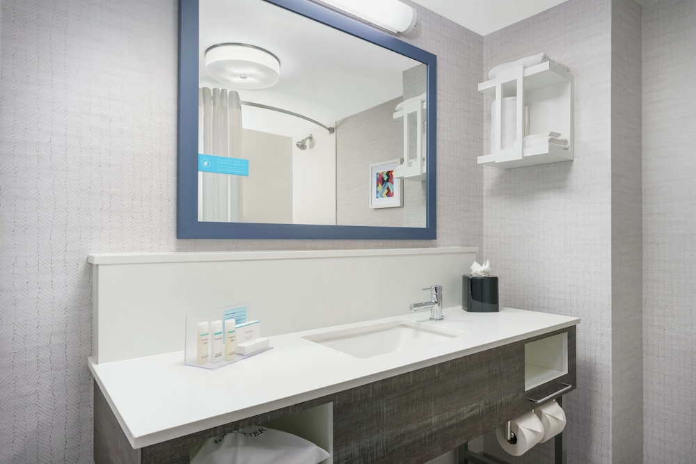 Hampton Inn & Suites Tampa/Ybor City/Downtown 13/42